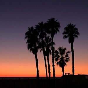 Meet your Posher, Tricia